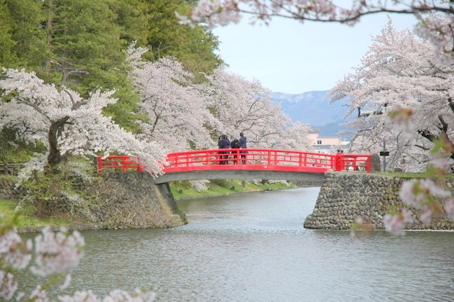 松が岬公園の桜 お堀の水面に映る桜が歴史ある景観を演出する